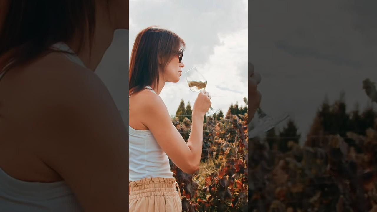 Když má víno svůj příběh
